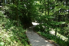 46.JPG