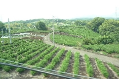 19.JPG