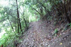 20060519_012.jpg