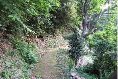 20060525_007.jpg