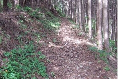 20060527_032.JPG