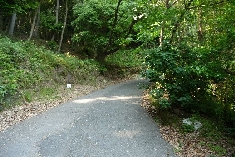 24_十八番恩山寺.JPG