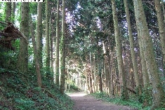 20060614_021.jpg