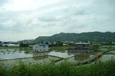 03.JPG