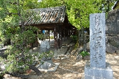 53_51番石手寺.JPG