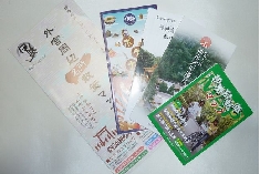 05.JPG