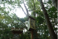 P1020464.JPG