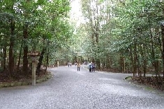 P1020173.JPG